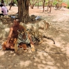 Zdjęcie z Tajlandii - Swiatynia tygrysow.