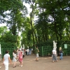 Zdjęcie z Rosji - Ogród Letni