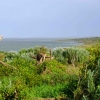 Zdjęcie z Australii - Wody laguny Coorong