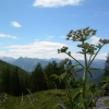 Zdjęcie z Austrii - U podnóża Dachsteinu