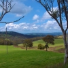 Australia - Adelaide Hills - zielona zima