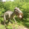 Zdjęcie z Polski - DinoZatorLand