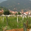 Zdjęcie z Macedonii - Tetowo - cmentarz.