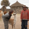 Zdjęcie z Peru - 