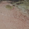 Zdjęcie z Grecji - różowy piasek