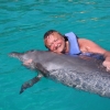 Zdjęcie z Meksyku - Delfiny