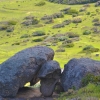 Zdjęcie z Australii - Smieszne skaly
