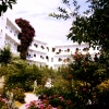 Zdjęcie z Grecji - "nasz" hotel