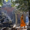 Zdjęcie z Kambodży - Ta Prohm