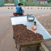 Zdjęcie z Kambodży - Drobne slimaki doprawione sosem chilli - przysmak Khmerow