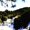 Zdjęcie z Chorwacji - rzeka Krka