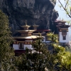 Zdjęcie z Bhutanu - Tiger