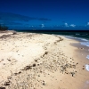 Zdjęcie z Turks i Caicos - 