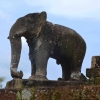 Zdjęcie z Kambodży - Jeden z kamiennych sloni strzegacych swiatyni East Mebon