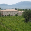 Zdjęcie z Włoch - Prywatna winnica benedyktynów