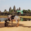 Kambodża - Angkor Wat i Banteay Kdei