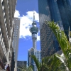 Zdjęcie z Nowej Zelandii - Wieza Auckland Sky Tower