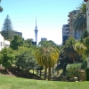 Zdjęcie z Nowej Zelandii - Auckland