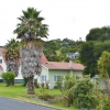 Zdjęcie z Nowej Zelandii - Stare drewniane domy w Russel