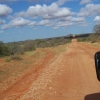 Zdjęcie z Kenii - W drodze na safari.