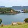Zdjęcie z Nowej Zelandii - Nowozelandzkie widoki - Bau of Islands