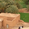 Zdjęcie z Maroka - Oaza w Agdz.