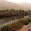 Zdjęcie z Maroka - Rzeka Draa.