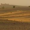 Zdjęcie z Maroka - Kolory pustyni w niepogodę.