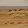 Zdjęcie z Maroka - Ketary na pustyni.