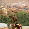 Zdjęcie z Maroka - Mohammed i Hassan.