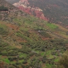 Zdjęcie z Maroka - Zielone tarasy uprawne w czerwonej dolince.