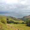Zdjęcie z Nowej Zelandii - W drodze z Paihia do Coromandel