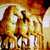 Zdjęcie z Włoch - oryginały koni