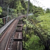 Zdjęcie z Nowej Zelandii - Jedziemy gorska waskotorowka Driving Creek Railway 