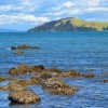 Zdjęcie z Nowej Zelandii - Oblepione ostrygami skaly...wystarczy noz i cytryna :)