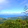 Zdjęcie z Nowej Zelandii - W dole usiana wyspami zatoka Hauraki Gulf