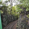 Zdjęcie z Nowej Zelandii - Trasa kolejki Driving Creek Railway 