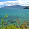Zdjęcie z Nowej Zelandii - Polwysep Coromandel