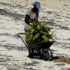 Zdjęcie z Kenii - plażowy sprzedawca