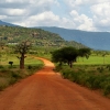 Zdjęcie z Kenii - widoki....