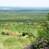 Zdjęcie z Kenii - widok z okna w prawo.... równina sawanny jak na dłoni