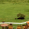 Zdjęcie z Kenii - obserwacja - to jedyna rzecz do roboty podczas safari:))