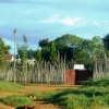Zdjęcie z Kenii - migawki z kenijskiej wsi