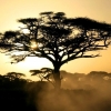 Zdjęcie z Kenii - uwieczniamy więc tę przepiękną chwilę