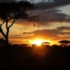 Zdjęcie z Kenii - zachody słońca nad afrykańską sawanną