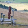 Zdjęcie z Nowej Zelandii - Maoryski bozek - odstraszacz zlych duchow