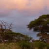 Zdjęcie z Kenii - wschód nad sawanną...