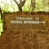 Zdjęcie z Kenii - Mzima Springs- królestwo krokodyli i hipopotamów