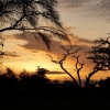 Zdjęcie z Kenii - wschód słońca nad sawanną