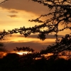 Zdjęcie z Kenii - wschód słońca trwa....